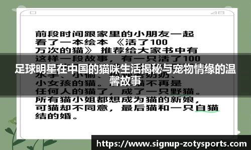 足球明星在中国的猫咪生活揭秘与宠物情缘的温馨故事